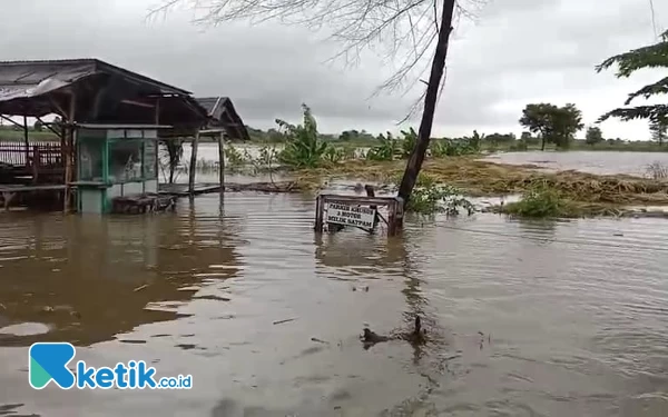 Thumbnail Berita - Terendam Banjir, Puluhan Hektar Sawah di Situbondo Terancam Gagal Panen