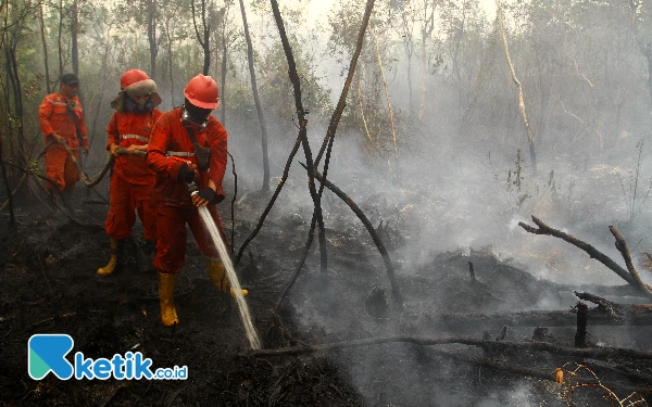 Thumbnail Kepulan asap berasal dari lahan gambut yang terbakar. (Foto: Wahyu R/Ketik.co.id)