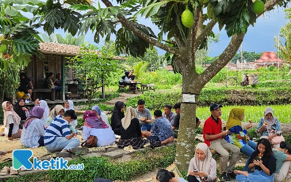 Thumbnail Lega apabila pengunjung sudah bisa masuk dan mengambil makan serta minum lanjut bisa menikmati makannya sambil duduk di tepi sawah yang indah sekali