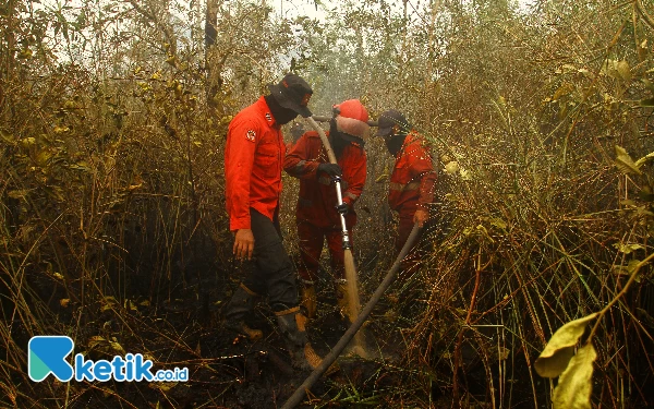 Thumbnail Manggala Agni berjibaku padamkan api di lahan gambut di Desa Timbangan Kecamatan Indralaya Utara Ogan Ilir, Selasa (17/10/2023). (Foto: Wahyu R/Ketik.co.id)