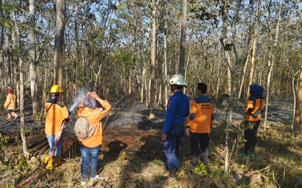 Thumbnail Terjadi Karhutla di Jawa Tengah, BNPB Minta Masyarakat Waspada