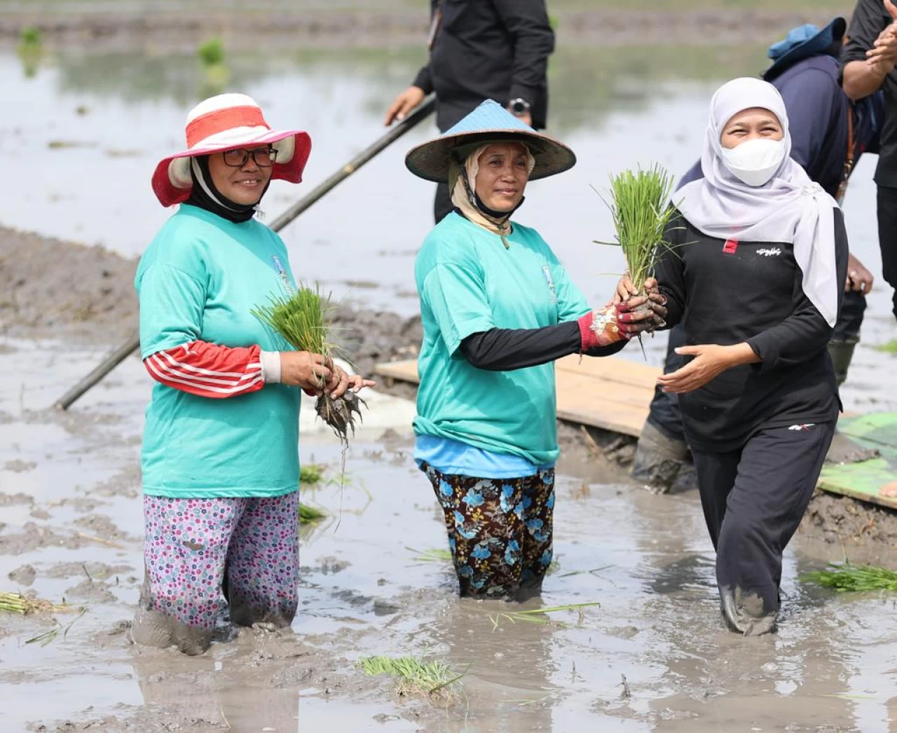 NTP Naik, Gubernur Khofifah Harap Kesejahteraan Petani Meningkat 