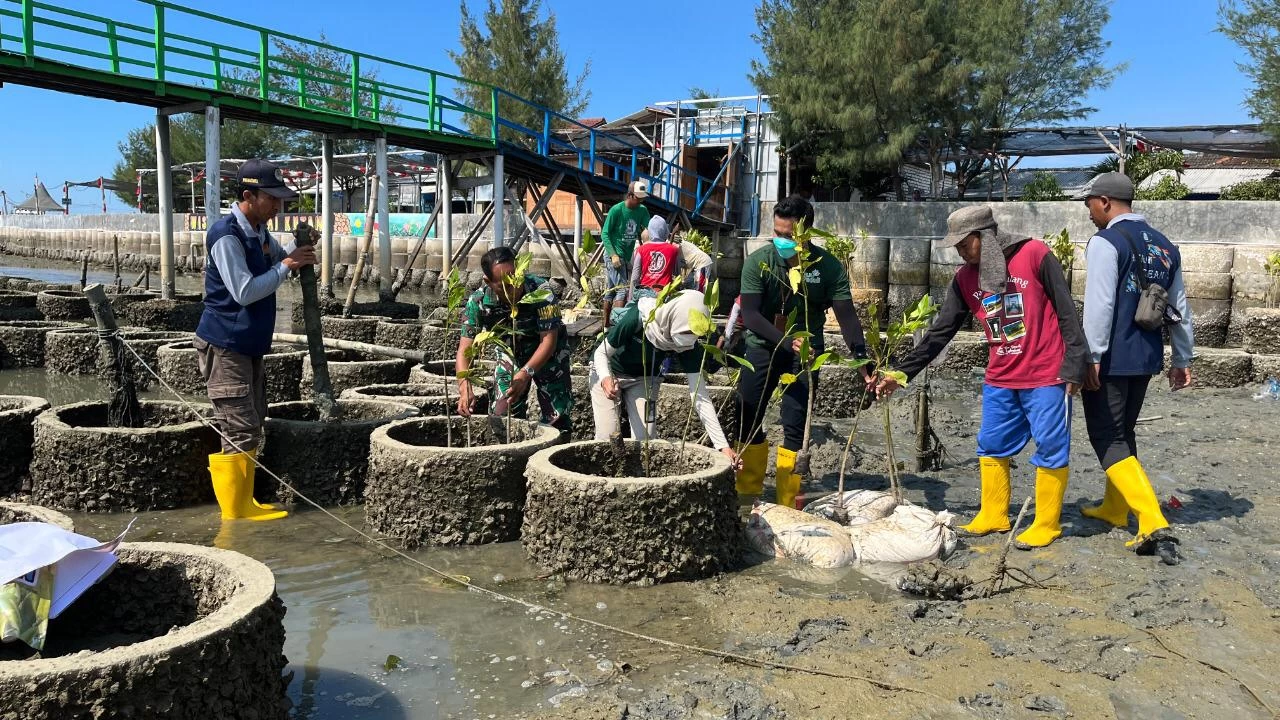 Thumbnail Berita - Normalisasikan Kawasan Pesisir, PLN Peduli Tanam 3000 Mangrove 