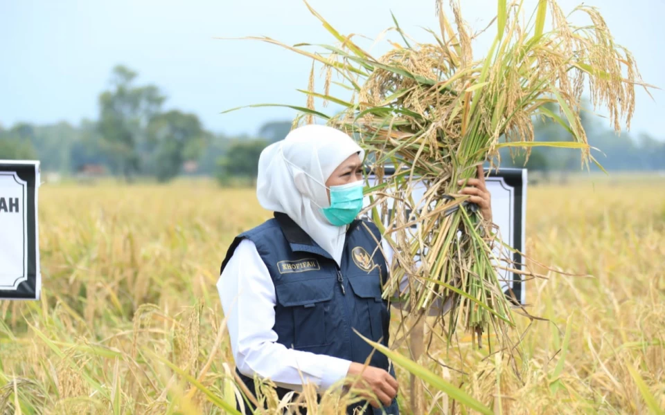 Thumbnail Berita - Gubernur Khofifah Yakin Jatim Siap Hadapi Krisis Pangan 