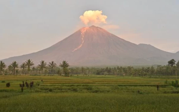 Thumbnail Berita - BMKG Jepang Ungkap Alasan Erupsi Semeru Picu Tsunami 