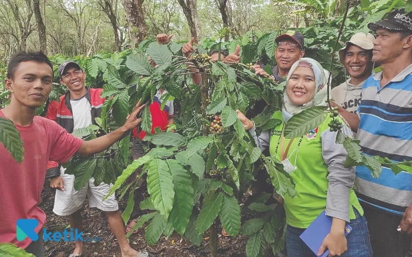 Thumbnail Berita - Tahun Kelima, 86 Poktan Pagaralam Jalankan Sejuta Sambung Pucuk