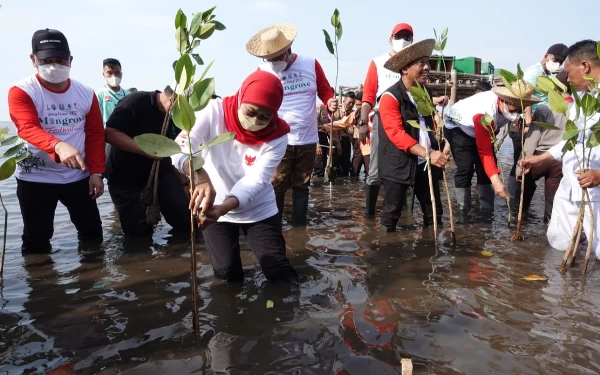 Thumbnail Berita - Gubernur Jatim Terus Lakukan Konservasi Perluasan Hutan Mangrove