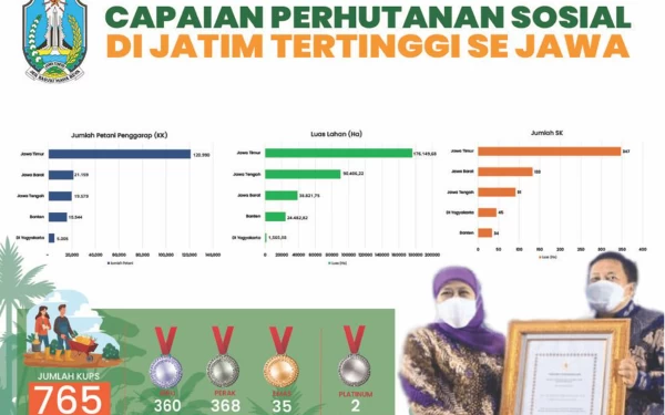 Thumbnail Berita - Hutan Jawa Timur Capai 58 Persen Terbesar di Pulau Jawa