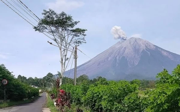 Thumbnail Berita - Banjir Lahar Semeru Masuk Sungai, Warga Diminta Waspada