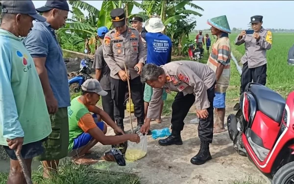 Thumbnail Berita - Polisi Ngawi Larang Petani Berantas Tikus dengan Jebakan Listrik