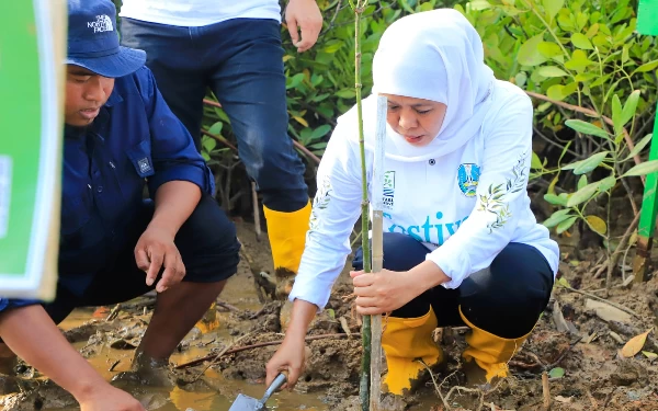 Thumbnail Festival Mangrove untuk Tingkatkan Perekonomian Jawa Timur