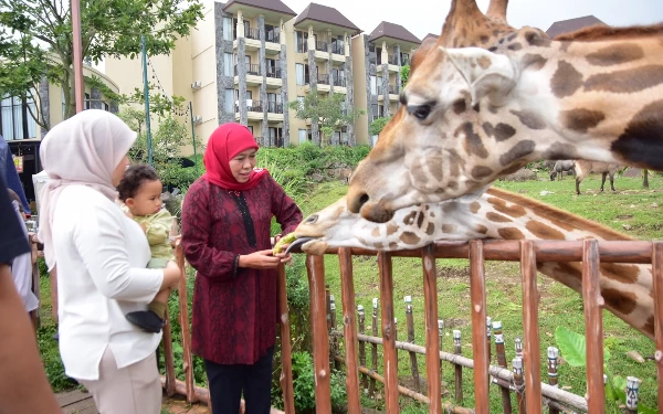 Thumbnail Musim Libur Sekolah, Khofifah Ajak Warga Kunjungi Destinasi Wisata Jatim