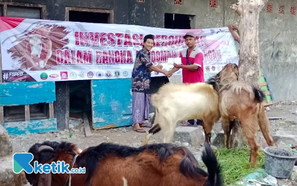 Thumbnail Berita - Idul Adha, FSPPB Salurkan 15 Hewan Kurban ke Sejumlah Daerah