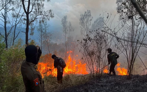 Thumbnail Berita - Karhutla Lereng Gunung Arjuno Sudah Merembet ke Kabupaten Pasuruan