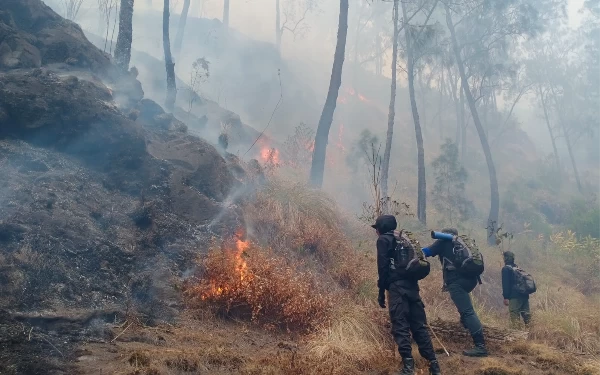 Petugas Padamkan Karhutla Lereng Gunung Arjuno Pakai Ranting Pohon