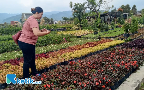 Mall Bunga Sidomulyo Kota Batu, Surga Bagi Pencinta Tanaman Hias