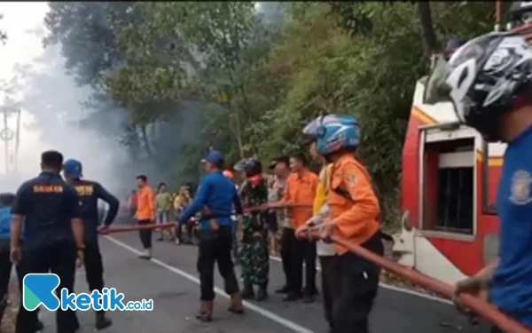 Thumbnail Berita - Lahan Gambut di Jalan Lintas Utama Lahat-Pagaralam Terbakar