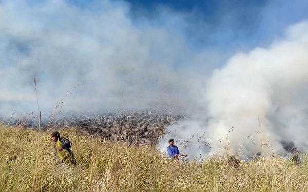 Thumbnail Berita - Seluruh Akses Menuju Taman Nasional Bromo Tengger Semeru Tutup Total