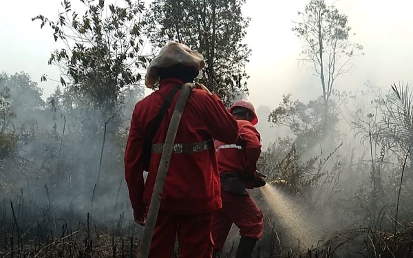 Thumbnail Berita - Imbas Karhutla, Asap dan Serbuk  Ancam Kesehatan Jutaan Warga Sumsel