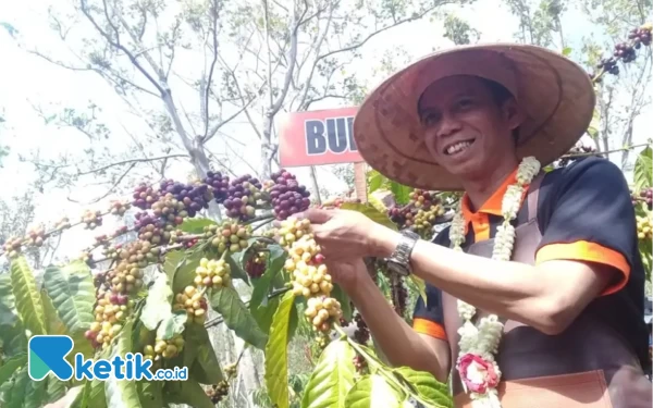 Presiden BRK Sambut Baik Rencana Bangkitkan Kopi di Bondowoso