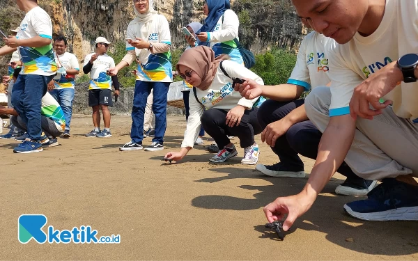 Thumbnail Berita - Lepas Ratusan Tukik dan Bersih-bersih Pantai, Cara PLN UP Pacitan Rayakan Ultah