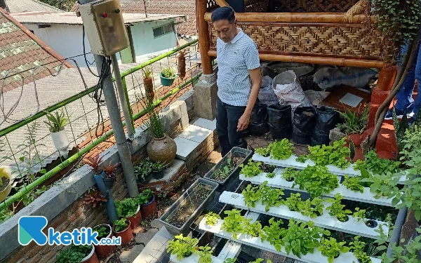 Thumbnail Berita - Netralisir Udara, Pj Wali Kota Malang Resmikan Urban Farming Kelurahan Samaan