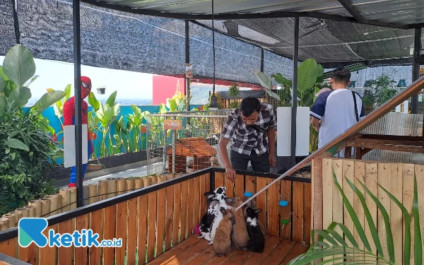 Thumbnail Berita - Pengalaman Menginap Berbeda di Hotel Dafam Fortuna Jember, Ada Kebun Binatang di Rooftop