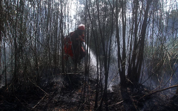 Thumbnail Berita - Melihat Perjuangan Petugas Berjibaku Memadamkan Kebakaran Hutan di Sumatera Selatan