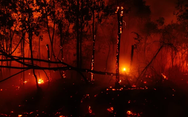 (Berita Foto) Berjibaku Padamkan Api di Pulau Semambu, Ogan Ilir