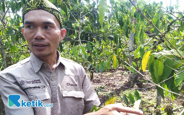 Ada 'Laboratorium' Alam untuk Belajar Kopi yang Masuk  Ijen Geopark Bondowoso