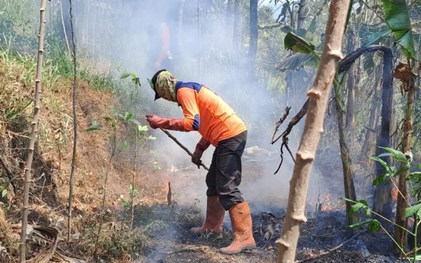 Thumbnail Berita - Selama Oktober, 5,7 Hektar Hutan Pinus Kota Batu Habis Terbakar