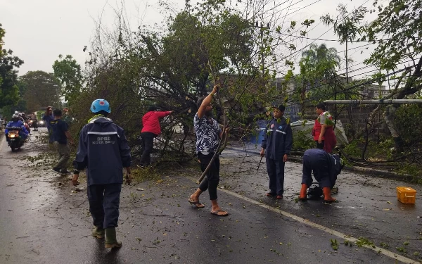 Angin Kencang di Kota Batu Sebabkan Pohon Tumbang dan Atap Rumah Hancur