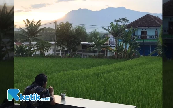 Thumbnail Berita - Sensasi Ngopi di Esonja Cafe Malang, Gunung dan Sawah Jadi View Andalan