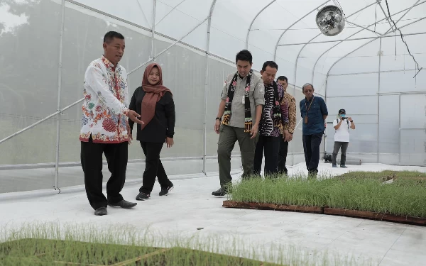 Thumbnail Kementan RI Dampingi Program Nursery dengan Teknologi Soilblock di Sleman