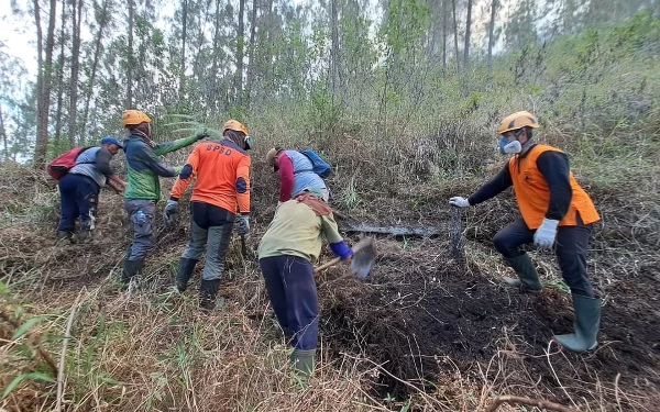 Kebakaran Gunung Panderman Kota Batu Padam, Belasan Hektar Hangus Terbakar