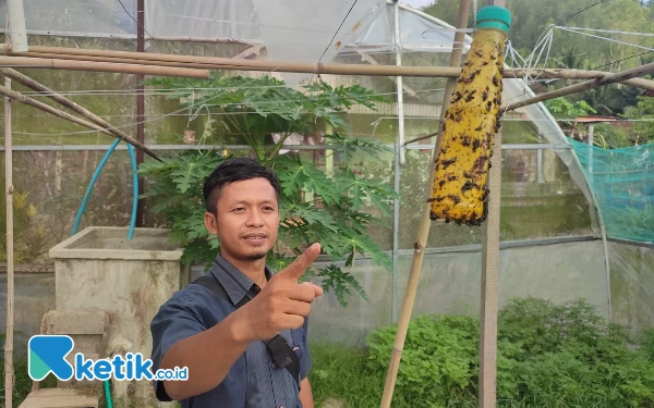 Thumbnail Berita - Petani Pacitan Usung Konsep Green House untuk Tanam Cabai di Luar Musim