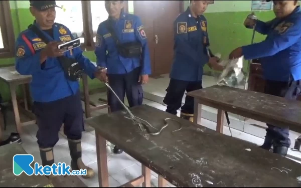 Thumbnail Atap Kelas SD di Jember Jadi Sarang Ular, Siswa Belajar di Luar Ruangan