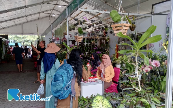 Thumbnail Berita - Batu Shining Orchid Week 2023 Dongkrak Ekonomi Lewat Pameran Anggrek