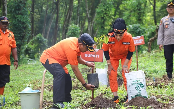 Thumbnail Berita - Lakukan Reboisasi di Perkebunan Kalijompo, Bupati Jember: Menjaga Keseimbangan Alam