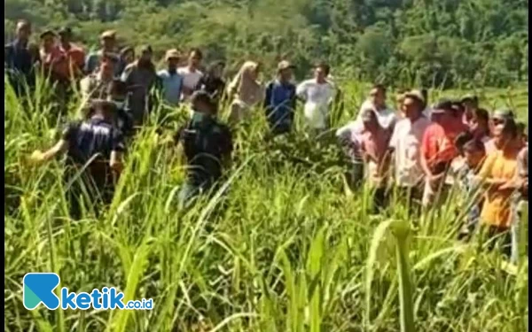 Thumbnail Berita - Penemuan Mayat di Ladang Tebu Gegerkan Warga Pakisan Bondowoso