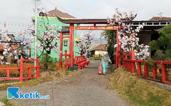 Thumbnail Berita - Kampung Sakura Kota Batu akan Segera Diresmikan