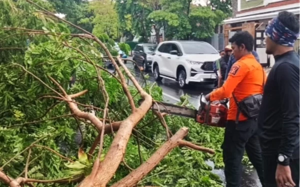 Thumbnail Antisipasi Bencana Hidrometeorologi, BPBD Kota Surabaya Optimalkan 18 Pos Pantau