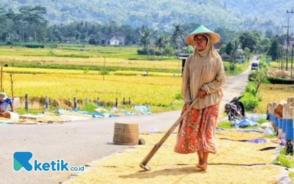 Thumbnail Berita - Kultur Jadi Pemicu Generasi Muda di Pacitan Enggan Bertani