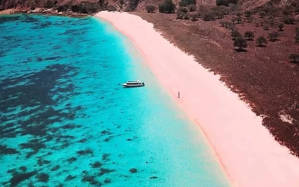 Mengisi Liburan dengan Menikmati Keindahan Pantai Pink di Lombok Timur