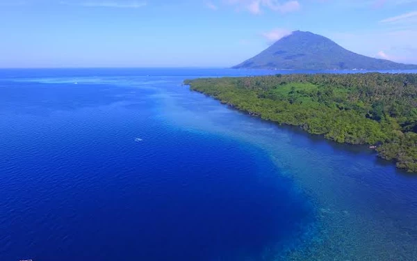 Thumbnail Berita - Melihat Keindahan Biota di Taman Laut Bunaken