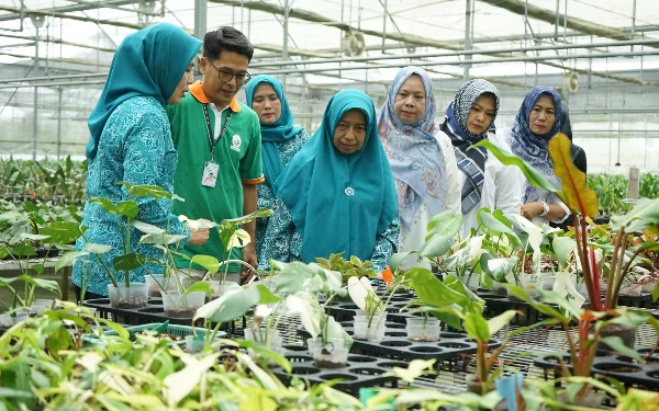 Thumbnail Berita - Ketua TP PKK Asahan Kunjungi PT Hijau Surya Biotechindo