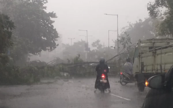 Thumbnail Berita - Fenomena Langka, Hujan Es Hebohkan Warga Sidoarjo