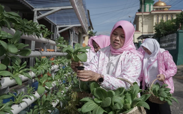 Thumbnail Keren! Program BRInita Sulap Lahan Sempit Jadi Urban Farming Produktif