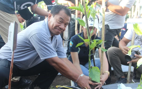 Tekan Laju Inflasi, Pemkab Buleleng Tamam Cabai di Lahan Hutan Kota