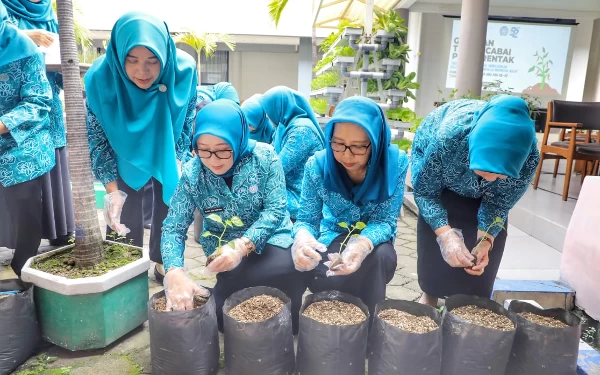 Pj Ketua PKK Jatim Ajak Emak-Emak Tanam Cabai dan Toga di Pekarangan Rumah